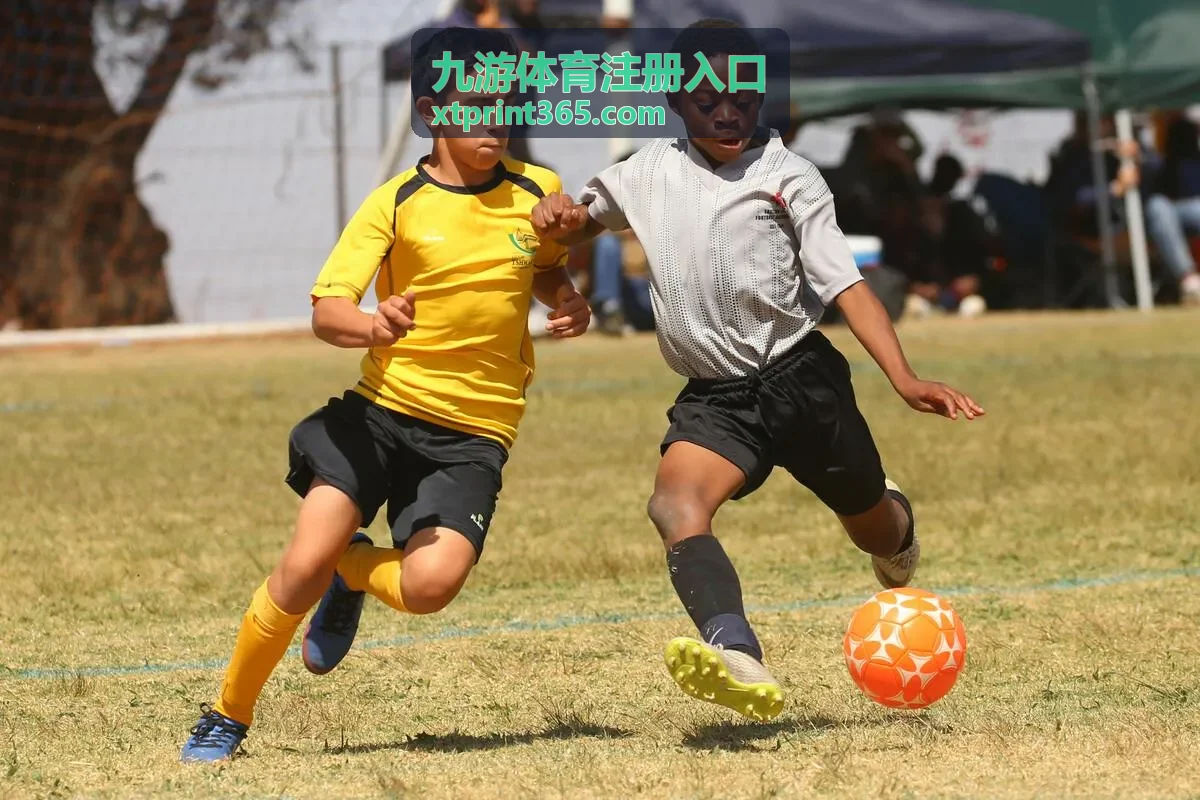 九游体育注册入口账号验证与安全设置说明配图