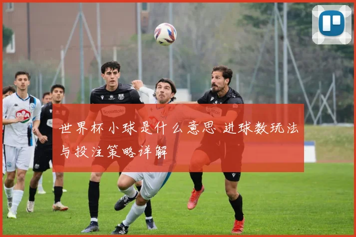 世界杯小球是什么意思 进球数玩法与投注策略详解