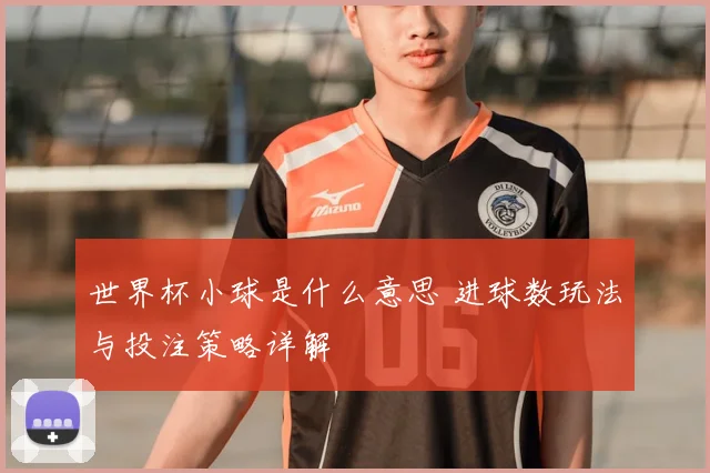世界杯小球是什么意思 进球数玩法与投注策略详解