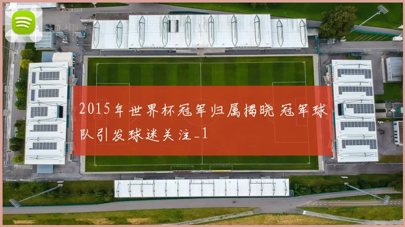 2015年世界杯冠军归属揭晓 冠军球队引发球迷关注_1